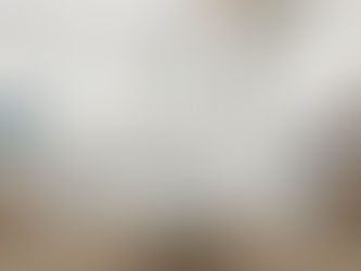 Assembly & Care Guide: Remie Sectional