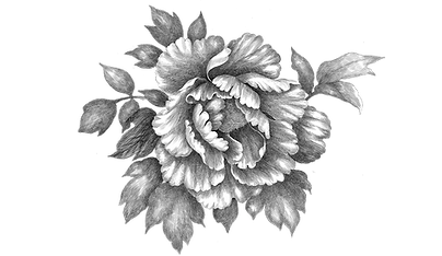 flower.png