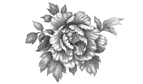 flower.png