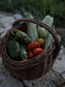 Cooking at Home in Zadar: A Complete Guide for Your Family Vacation Home Stay