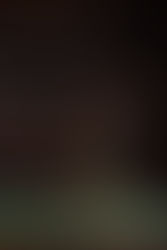 We are Not Forgiven to Go and Sin