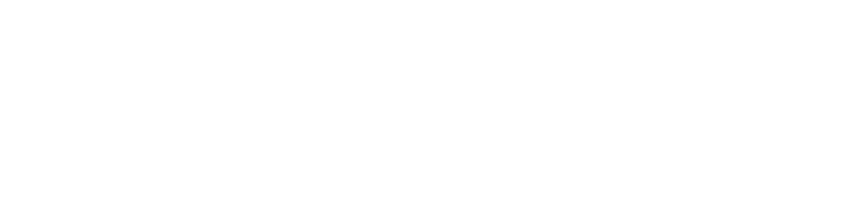Pfeiffer Logo white.png