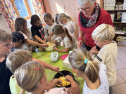 Workshop "Das Ei- ein geniales Lebensmittel"