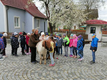 Ein Pony vor unserer Schultür