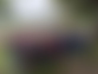 Schulausflug der 3. und 4. Klasse nach St. Pölten und ins Straußenland