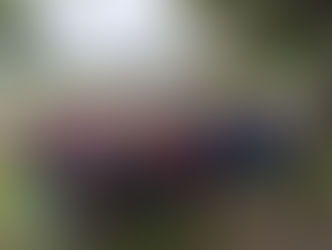 Schulausflug der 3. und 4. Klasse nach St. Pölten und ins Straußenland