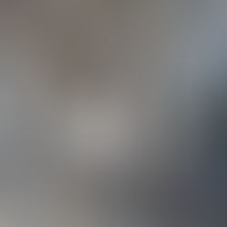 令和8年 アマゴ解禁日情報