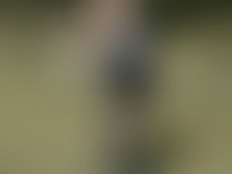 令和８年アユの放流