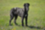 DSC07364.jpg