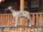 Boy 10 website .jpg
