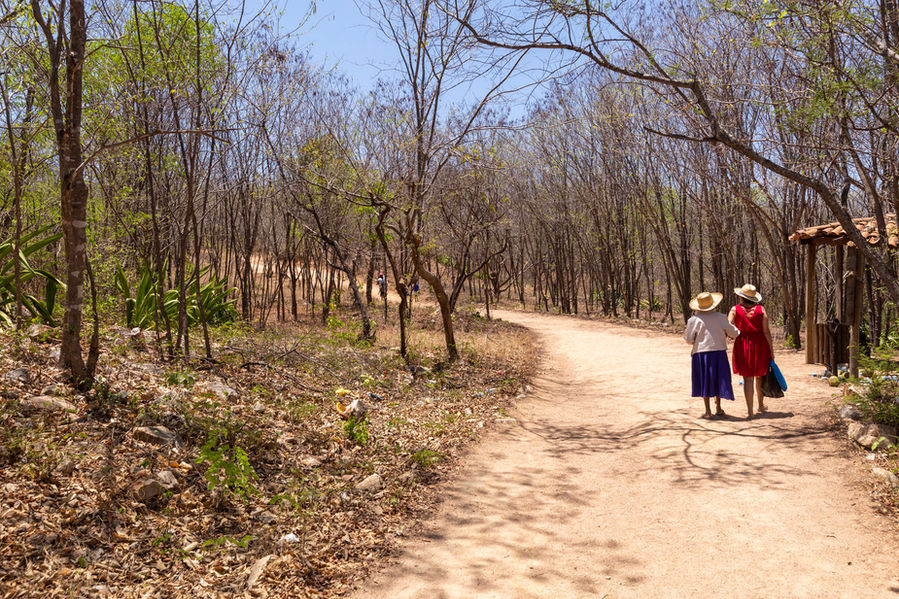 Duas mulheres caminham por uma trilha de terra, em meio a uma paisagem muito árida, cheia de árvores, mas quase sem folhas. A senhora mais velha vai à esquerda da moça mais nova. Ambas usam chapéus de romeiras (de palha clara). A mulher mais jovem está com um vestido vermelho. A mais velha usa saia preta e camisa branca. Elas estão de costas, caminhando no sentido contrário ao da câmera.