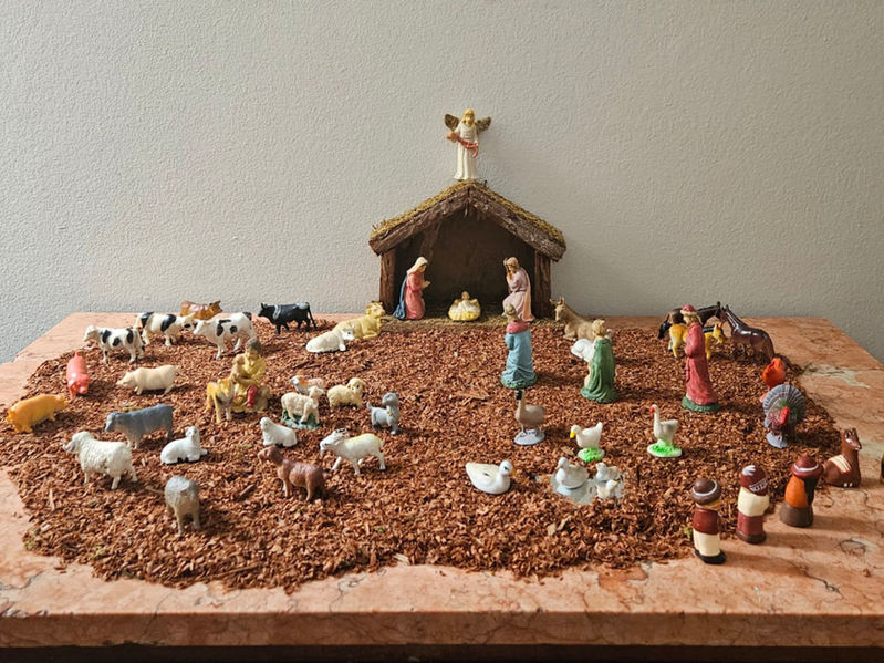 Sobre uma mesa de pedra marrom foi colocada uma camada de serragem que funciona como o piso da cena de Natal. Bem ao centro, no fundo da mesa, uma pequena choupana com Maria em pé do lado esquerdo, José ajoelhado do lado direito e o menino Jesus deitado na manjedoura ao centro. Em cima da choupana, um anjo está em pé, abençoando a cena.
A parte da frente do cenário simula uma fazenda, com muitas vacas, cabras, patos e ovelhas.
Do lado direito vemos os 3 reis magos chegando para conhecer o menino.