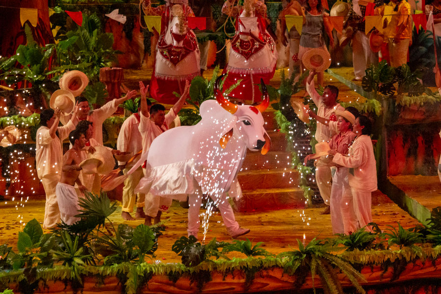 Cena da lenda do boi: o Boi Garantido (boi branco com um coração vermelho na testa) e os peões da fazenda em momento de celebração depois da sua ressurreição.