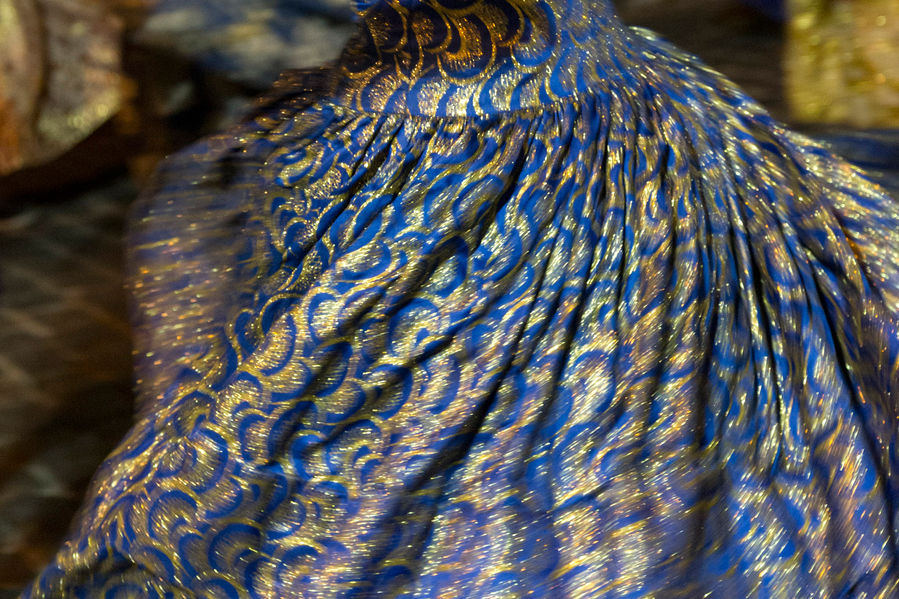 Uma mulher com vestido azul e dourado dança de forma animada. Não se vê a mulher inteira, apenas o movimento da sua saia, captado com baixa velocidade na câmera.