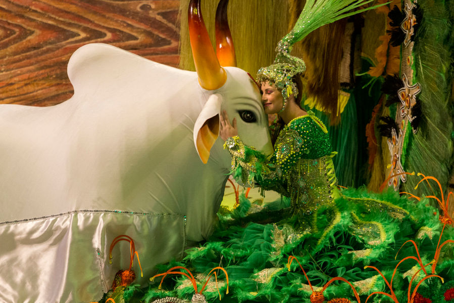 Sinhazinha do Boi, com vestido verde, ajoelhada, saudando e abraçando o Boi Garantido – boi branco com chifres alaranjados.