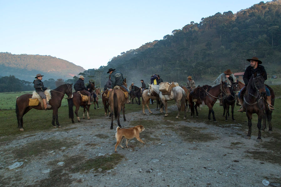 As lindas paisagens da Serra catarinense com montanhas cheias de árvores verdes ao fundo. Em primeiro plano, um grupo de cavaleiros e seus cavalos se aglomera antes da saída da Tropeirada. Um cachorro caramelo brinca com os cavalos.