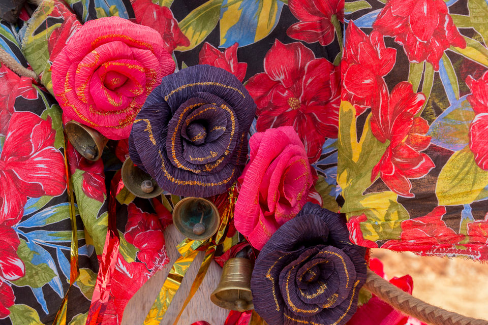 Detalhe da indumentária do cavalo de um mascarado, com o corpo coberto por um tecido de chita com flores vermelhas. Flores de papel crepom vermelhas e azuis e 4 sinos pequenos enfeitam o corpo do animal que não se vê de todo na imagem.