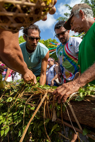 Um grupo de 4 homens está em círculo segurando plantas e tentando resolver algum problema.
