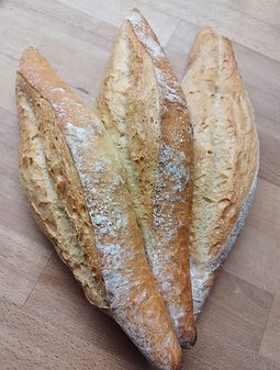 WhatsApp Image 2023-03-09 at 18.49.34 (1).jpeg