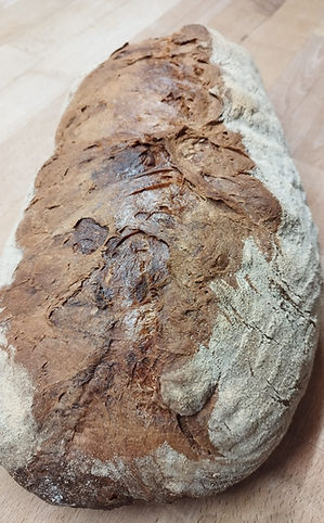 WhatsApp Image 2023-03-09 at 19.17.08.jpeg