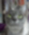 Screenshot_20220902-192358_Gallery_edited.jpg