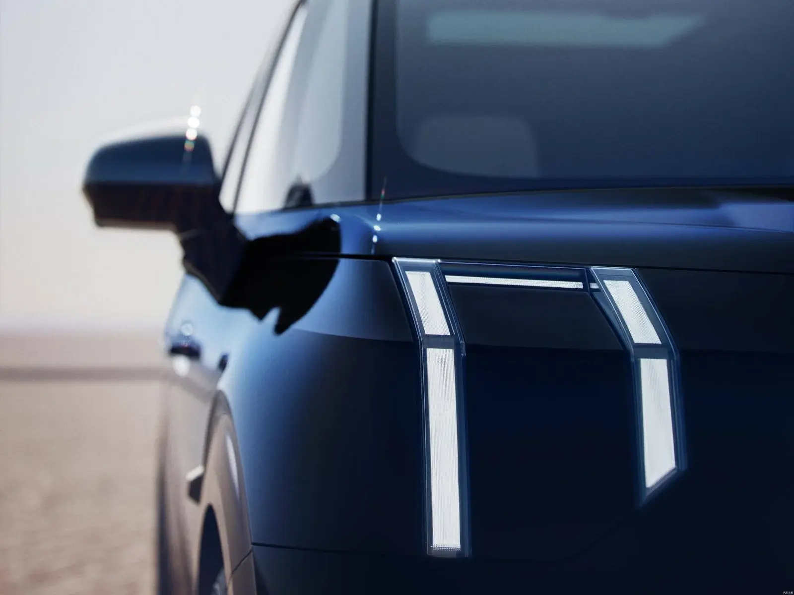 ZEEKR 009 WE 116KWH 702KM