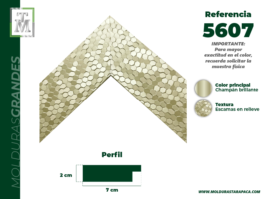 Miniatura: Perfil Grande 56