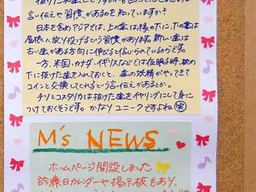 抜けた歯はどうするの?