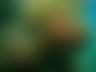 Great Barrier Reef Tours Starting from Cairns: Your Ultimate Guide to Reef Tours from Cairns