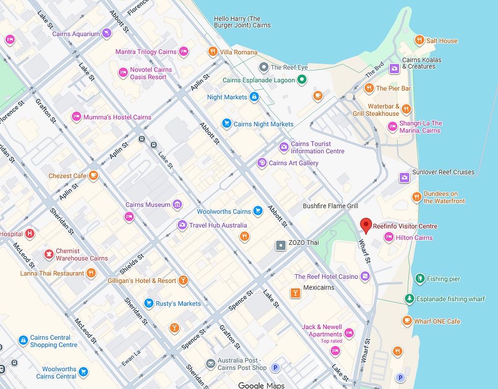 Map of Cairns city center showing streets, businesses, and landmarks like Cairns Aquarium, night markets, and the Reef Casino. Reef Info is highlighted in red.