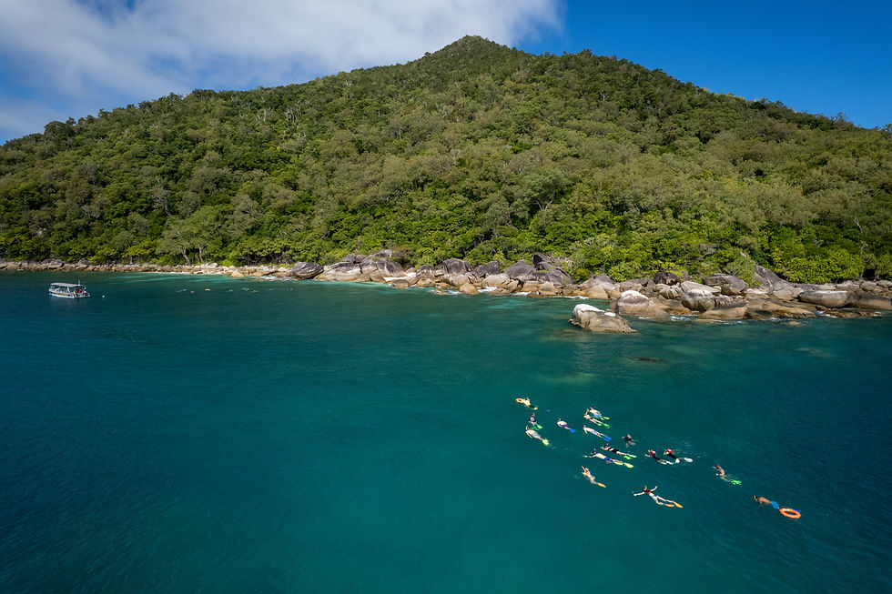 Guided Snorkel Tour on Fitzroy Island - Photo Credit: Philip Vids and Tourism Tropical North Queensland