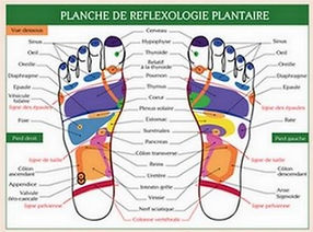 Réfléxologie plantaire