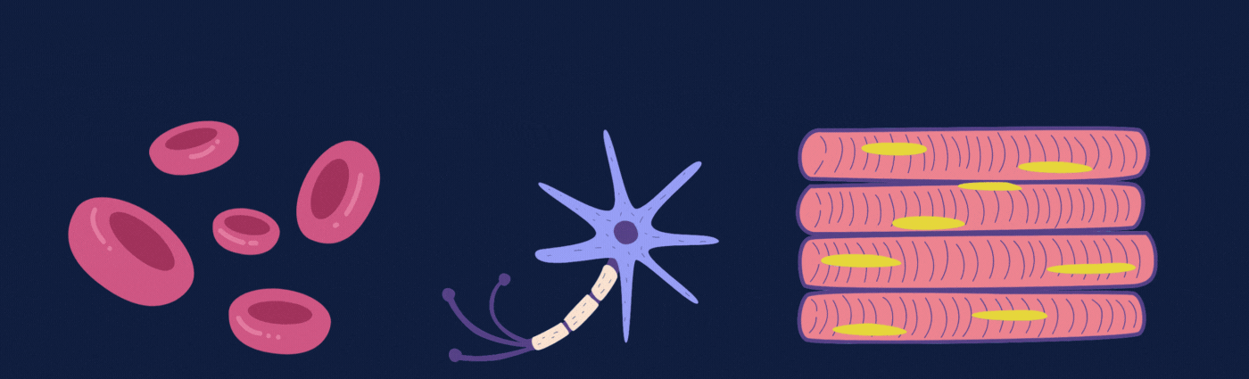 Azul Naranja Ilustrado Tecnología General LinkedIn Banner (10).gif