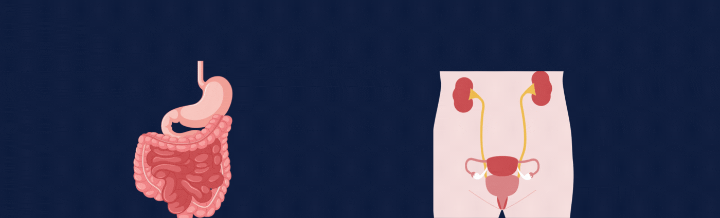 Azul Naranja Ilustrado Tecnología General LinkedIn Banner (9).gif