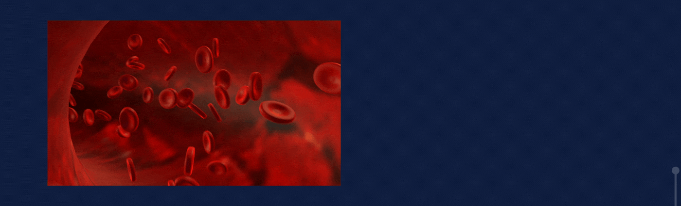 Azul Naranja Ilustrado Tecnología General LinkedIn Banner.gif