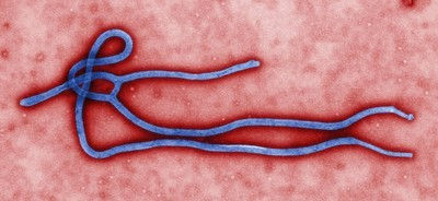 About Ebola Virus Disease