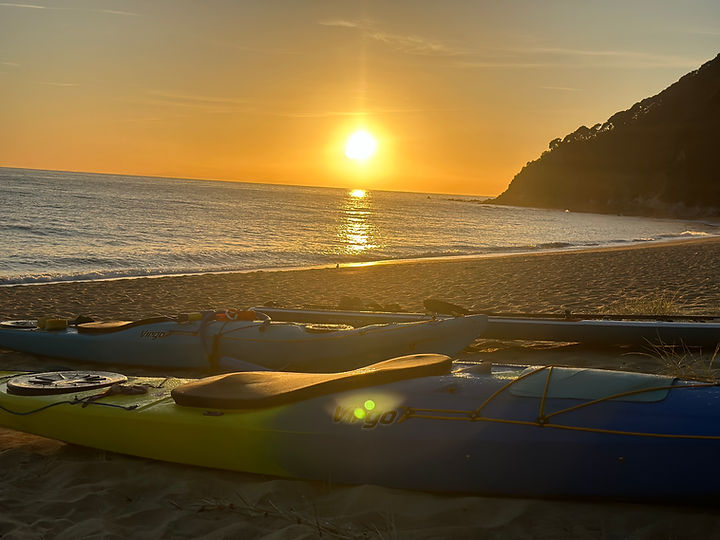 Anapai Bay.jpg