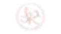 IMG_2388.PNG