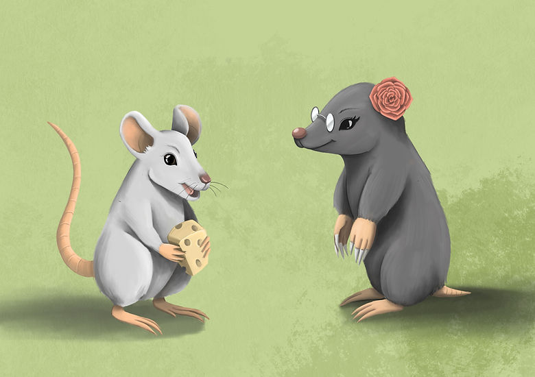 stage 4 - illustration 1.jpg