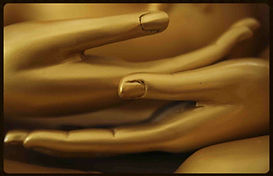 hair removal, waxing, microdermabrasion, nails, facials, massage