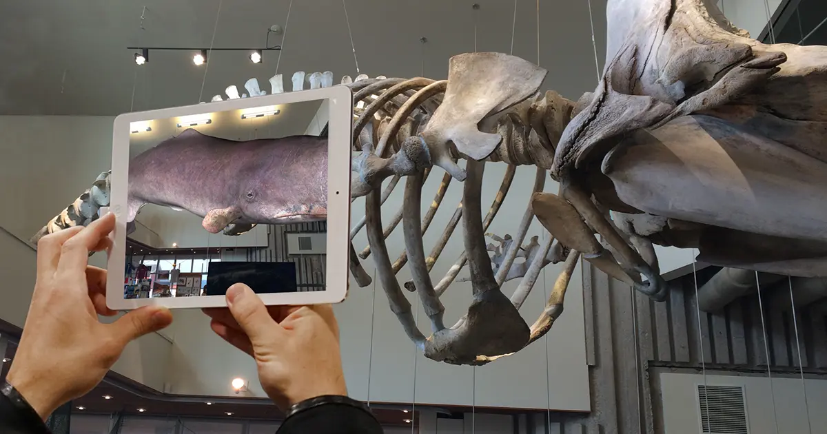 Cachalot, decouverte historique en AR