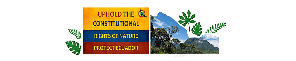 Mirador-Web.png