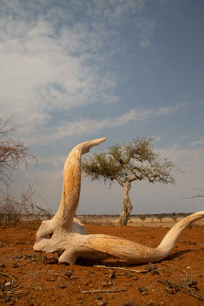 MM_20131015_Namibia_4891.jpg