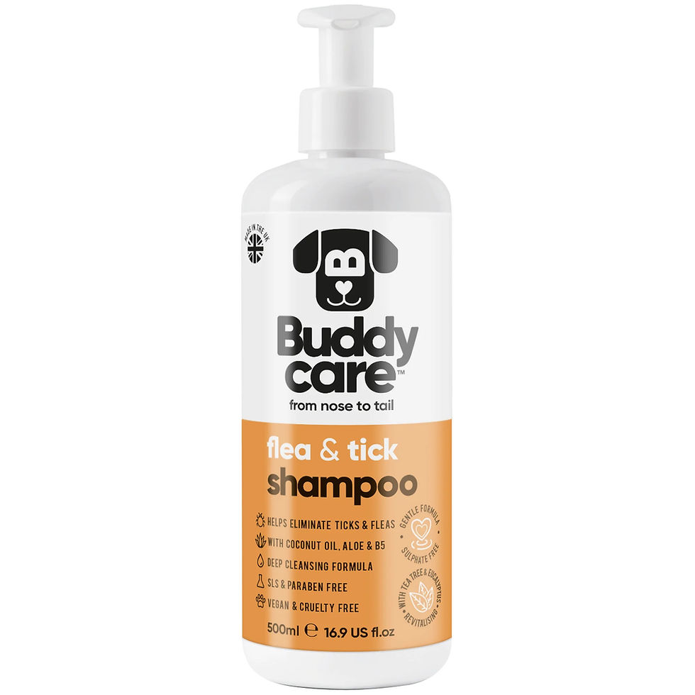Thumbnail: Buddy Care Shampoo | 500ml