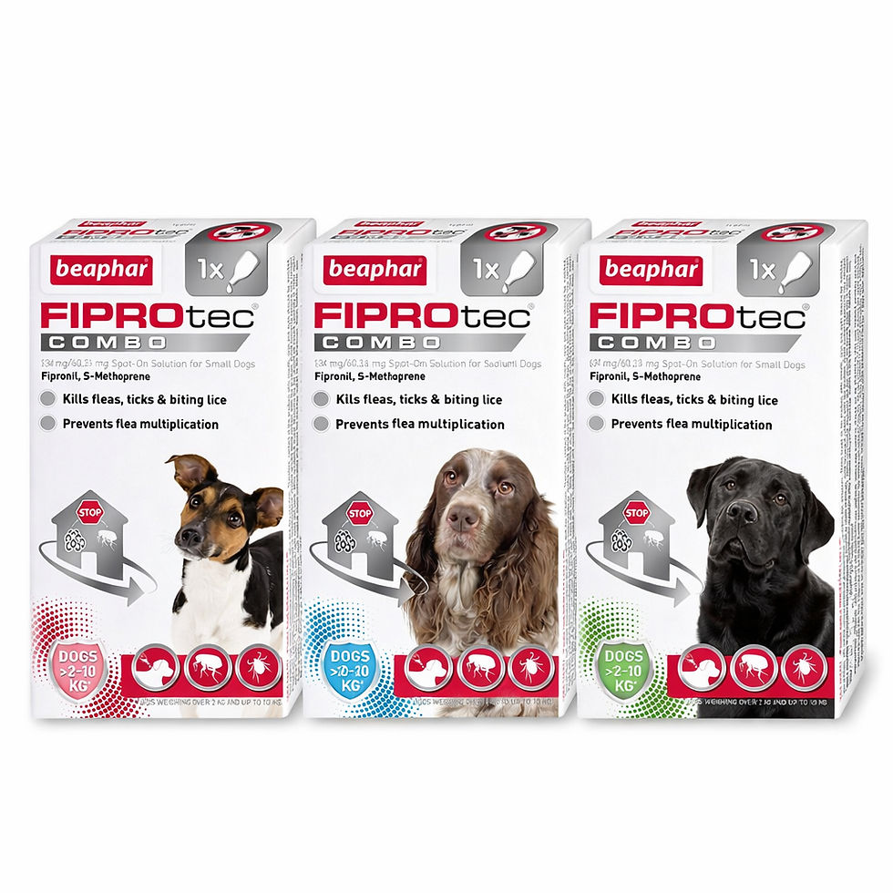 Thumbnail: Fiprotec Combo | Dog | Flea, Tick & Lice Treatment