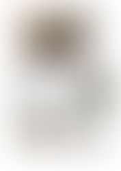 Dylan Reinders - Mitzvah Poject