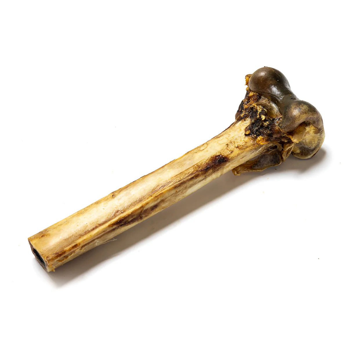 Ostrich Bone for Dogs | Natural Hypoallergenic Long-Lasting Chew
