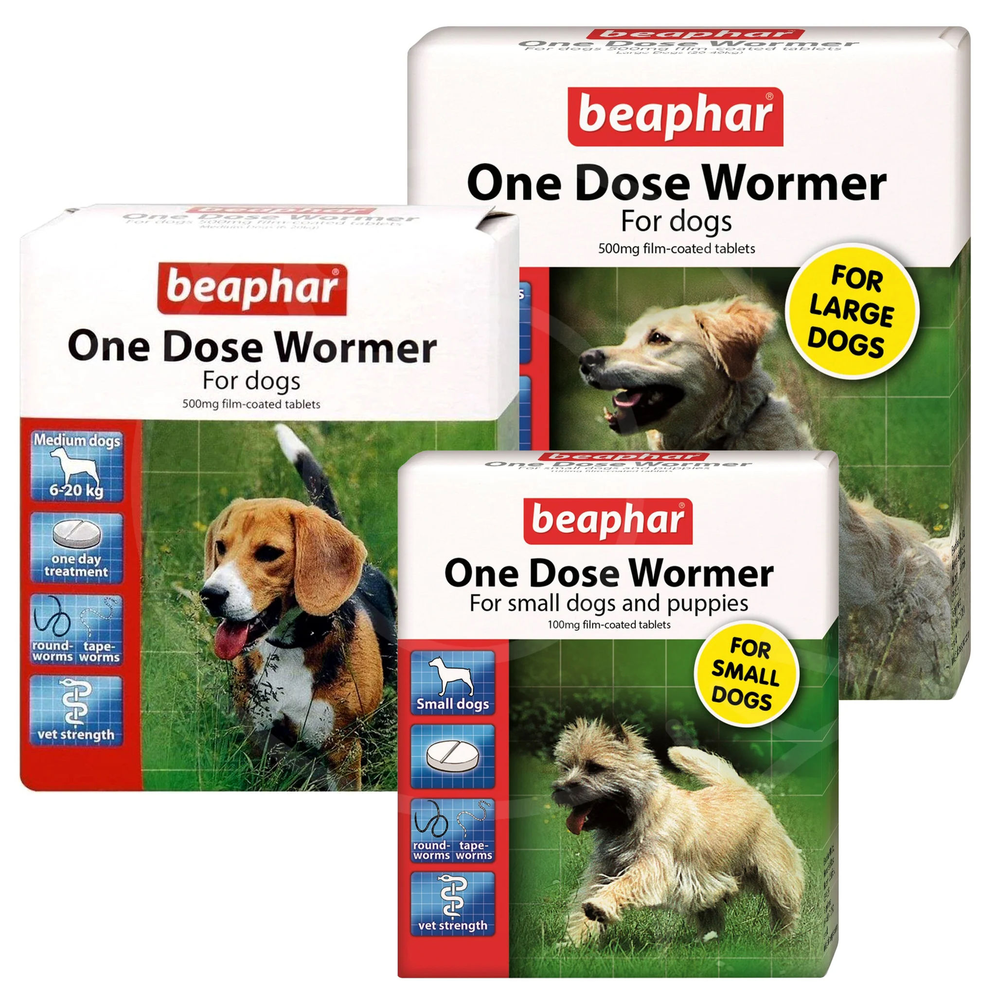 Beaphar One Dose Wormer | Dog | Fast-Acting Worm Treatment