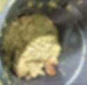 Dog Food Process