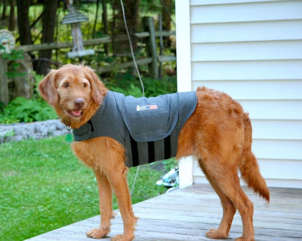 ree